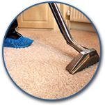 Professional Steam Cleaners