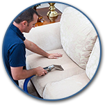 Professional Upholstery Cleaning
